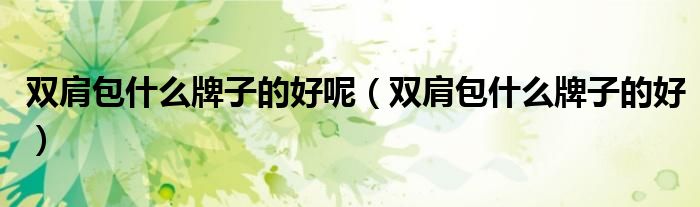 雙肩包什么牌子的好呢（雙肩包什么牌子的好）