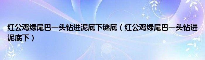 紅公雞綠尾巴一頭鉆進(jìn)泥底下謎底（紅公雞綠尾巴一頭鉆進(jìn)泥底下）