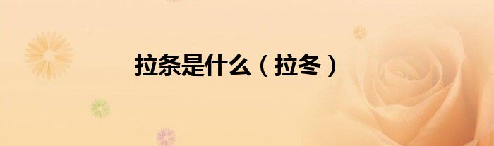 拉條是什么（拉冬）
