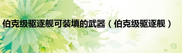 伯克級(jí)驅(qū)逐艦可裝填的武器（伯克級(jí)驅(qū)逐艦）