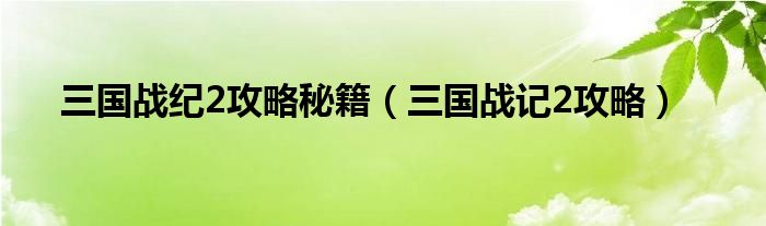 三國戰(zhàn)紀(jì)2攻略秘籍（三國戰(zhàn)記2攻略）
