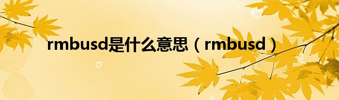 rmbusd是什么意思（rmbusd）
