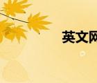 英文網(wǎng) 名（英文網(wǎng)名吧）
