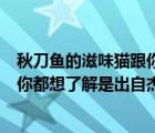 秋刀魚的滋味貓跟你都想了解什么意思（秋刀魚的滋味貓和你都想了解是出自杰倫哪首歌呢）
