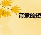 詩意的短句文案（詩意的短句）