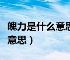 魄力是什么意思膽量是什么意思（魄力是什么意思）