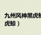 九州風(fēng)神黑虎鯨金尊和銀尊區(qū)別（九州風(fēng)神黑虎鯨）