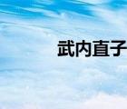 武內(nèi)直子百度百科（武內(nèi)直子）
