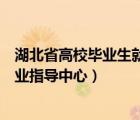 湖北省高校畢業(yè)生就業(yè)指導中心電話（湖北省高校畢業(yè)生就業(yè)指導中心）
