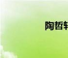 陶哲軒智商（陶哲軒死）