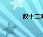 雙十二海報圖（雙十二海報）