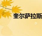 奎爾薩拉斯名冊在哪（奎爾薩拉斯）