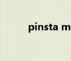 pinsta me網(wǎng)頁版（pinsta me）
