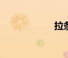 拉條是什么（拉冬）