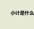 小計是什么意思（消極是什么意思）