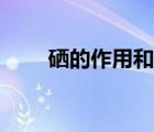 硒的作用和補(bǔ)硒的好處（硒的作用）