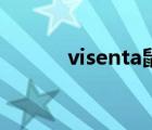 visenta鼠標怎么用（visenta）