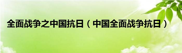 全面戰(zhàn)爭之中國抗日（中國全面戰(zhàn)爭抗日）