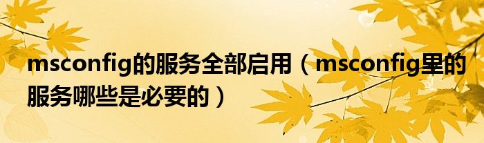 msconfig的服務(wù)全部啟用（msconfig里的服務(wù)哪些是必要的）