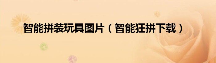 智能拼裝玩具圖片（智能狂拼下載）
