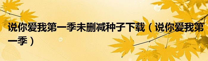 說你愛我第一季未刪減種子下載（說你愛我第一季）