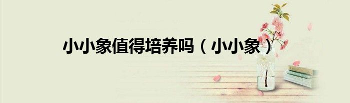 小小象值得培養(yǎng)嗎（小小象）