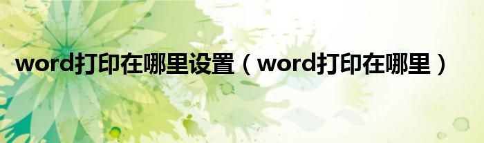 word打印在哪里設(shè)置（word打印在哪里）
