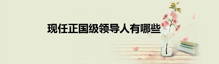 現(xiàn)任正國(guó)級(jí)領(lǐng)導(dǎo)人有哪些