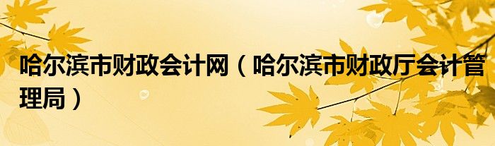哈爾濱市財政會計網(wǎng)（哈爾濱市財政廳會計管理局）