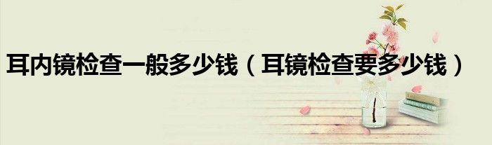 耳內(nèi)鏡檢查一般多少錢(qián)（耳鏡檢查要多少錢(qián)）
