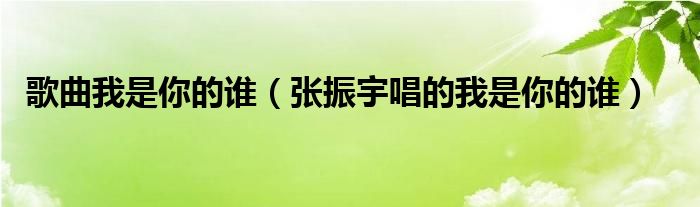 歌曲我是你的誰(shuí)（張振宇唱的我是你的誰(shuí)）