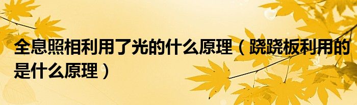 全息照相利用了光的什么原理（蹺蹺板利用的是什么原理）