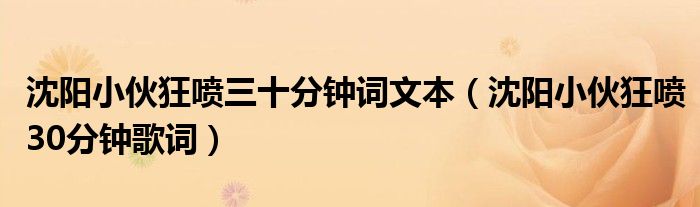 沈陽小伙狂噴三十分鐘詞文本（沈陽小伙狂噴30分鐘歌詞）