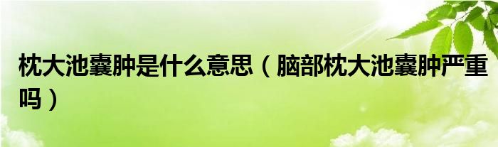 枕大池囊腫是什么意思（腦部枕大池囊腫嚴(yán)重嗎）