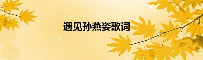遇見(jiàn)孫燕姿歌詞