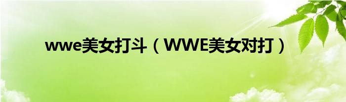 wwe美女打斗（WWE美女對(duì)打）