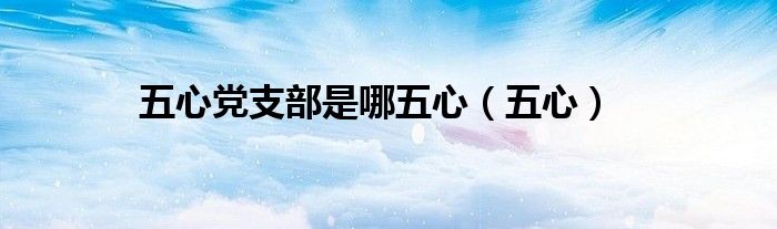 五心黨支部是哪五心（五心）