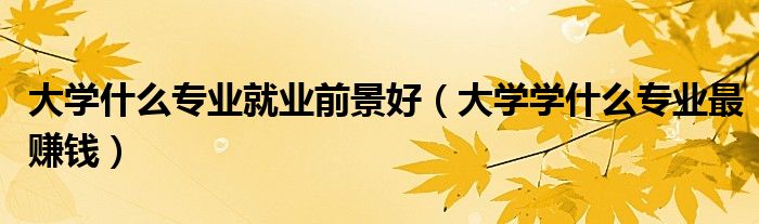 大學什么專業(yè)就業(yè)前景好（大學學什么專業(yè)最賺錢）