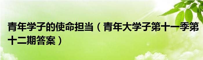 青年學(xué)子的使命擔(dān)當(dāng)（青年大學(xué)子第十一季第十二期答案）