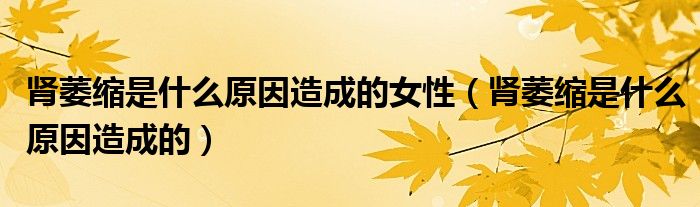 腎萎縮是什么原因造成的女性（腎萎縮是什么原因造成的）