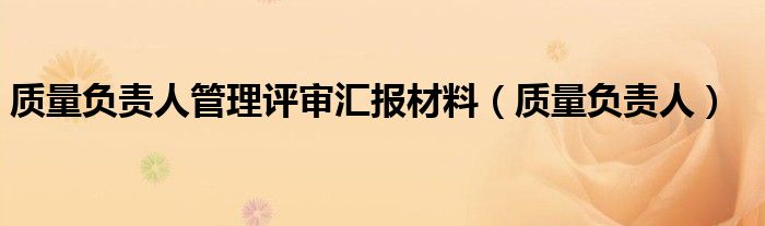 質(zhì)量負(fù)責(zé)人管理評審匯報(bào)材料（質(zhì)量負(fù)責(zé)人）