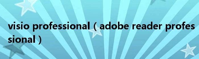 visio professional（adobe reader professional）