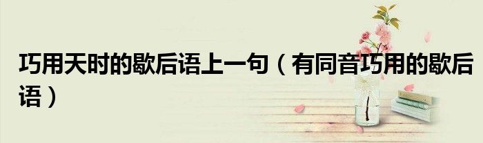巧用天時的歇后語上一句（有同音巧用的歇后語）