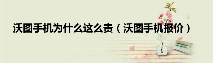 沃圖手機(jī)為什么這么貴（沃圖手機(jī)報(bào)價(jià)）
