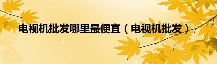 電視機(jī)批發(fā)哪里最便宜（電視機(jī)批發(fā)）