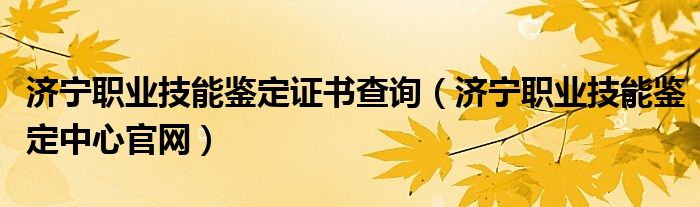 濟寧職業(yè)技能鑒定證書查詢（濟寧職業(yè)技能鑒定中心官網(wǎng)）