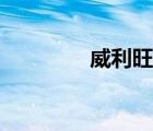 威利旺卡圖片（威利旺卡）