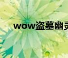 wow盜墓幽靈廢墟的寶藏（wow盜墓）