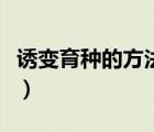 誘變育種的方法和原理（誘變育種的基本步驟）