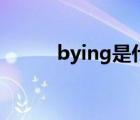 bying是什么意思（bying官網(wǎng)）